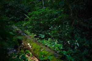 BIB: 
                            <button type="button" onclick="openModal(18921560)" class="btn btn-primary btn-sm float-right btn-popup" data-toggle="modal" data-target=".modal-high-quality">
                        <i class="fas fa-shopping-cart"></i> Add to Cart
                    </button>
                                            <button type="button" onclick="isThisMe(18921560, true)" class="btn btn-success btn-sm float-right btn-popup btn-isme hidden" data-toggle="tooltip" data-placement="bottom" title="นี่คือรูปของคุณใช่ไหม คลิกที่นี่เพื่อเอาเข้าอัลบั้ม">
                        <i class="fas fa-plus"></i> Add to album
                    </button>
                    <button type="button" onclick="isThisMe(18921560, false)" class="btn btn-warning btn-sm float-right btn-popup btn-isnotme hidden">
                        <i class="fas fa-ban"></i> Remove from album
                    </button>